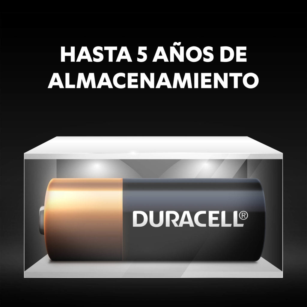 12V MN21 Special Alkaline Batteries