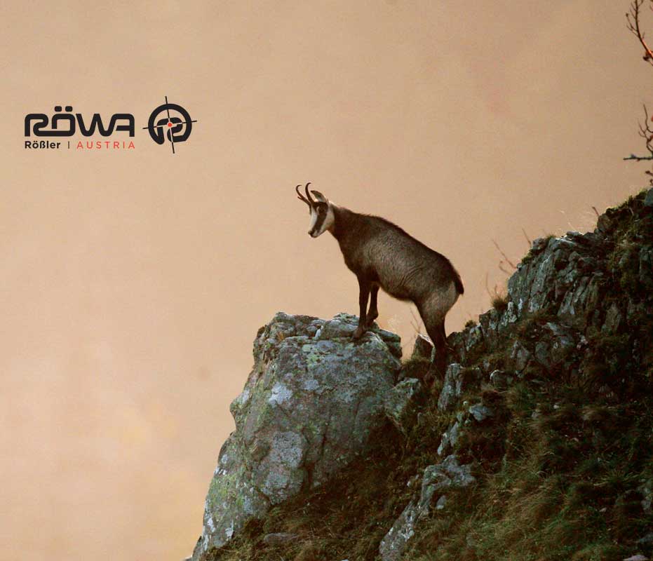 Titan 16® All-Round Straight Bolt Rifle