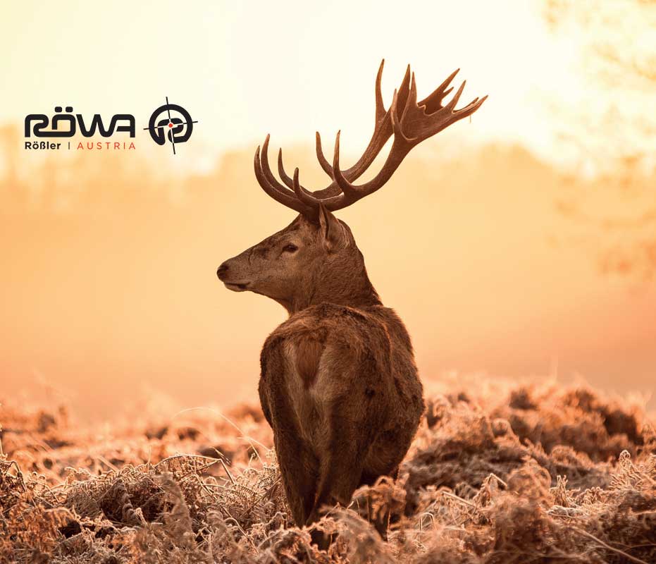 Titan 16® All-Round Straight Bolt Rifle