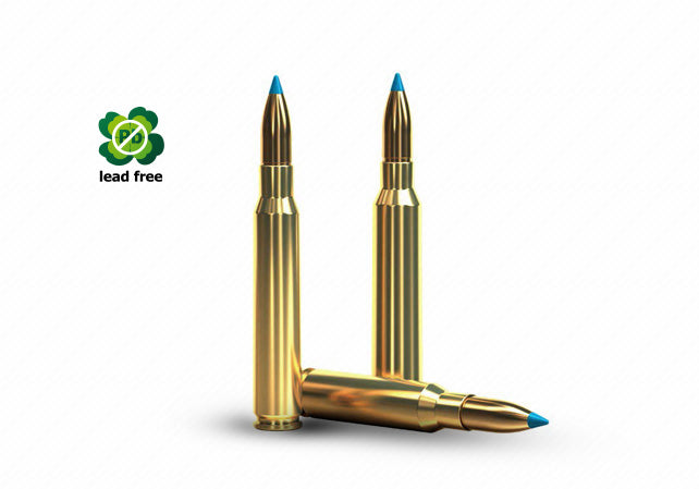 SPCE Rifle Bullets
