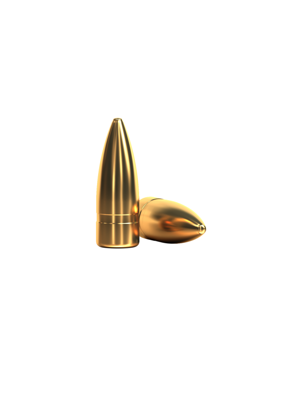 FMJ Rifle Bullets