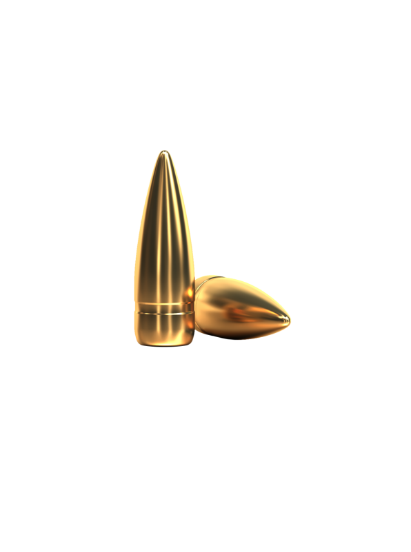 FMJ Rifle Bullets
