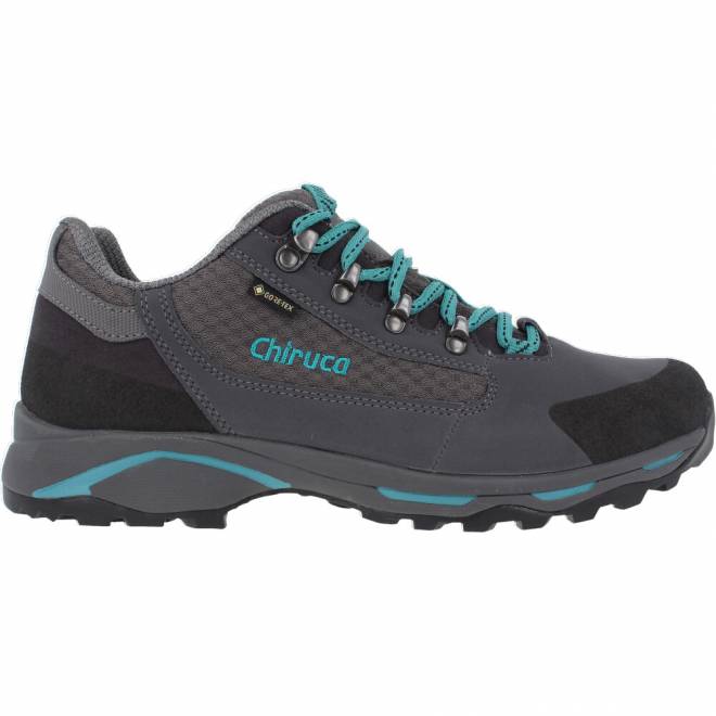 Santiago Gore-Tex Multifunction Shoes