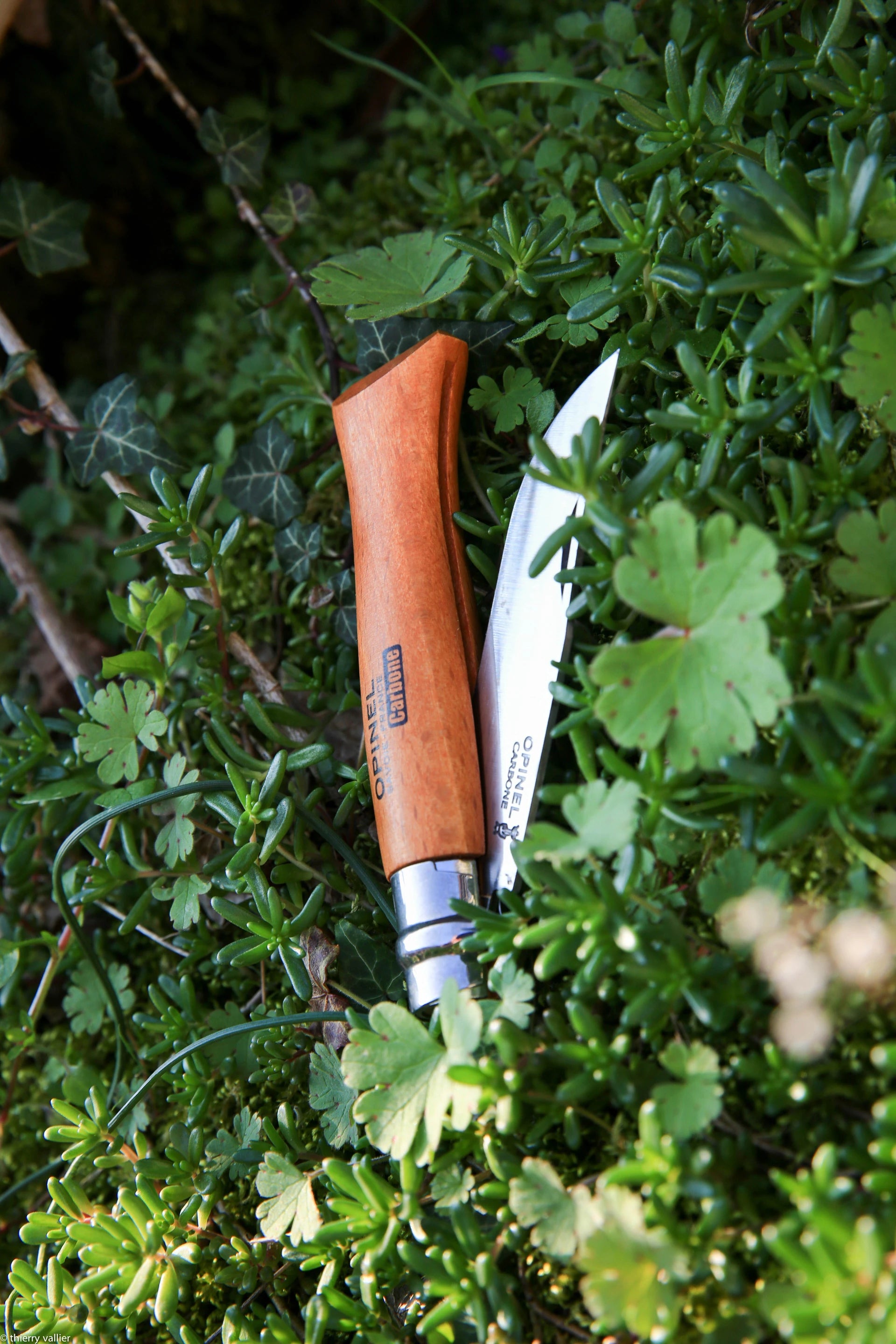 Knife N° 12 Carbon