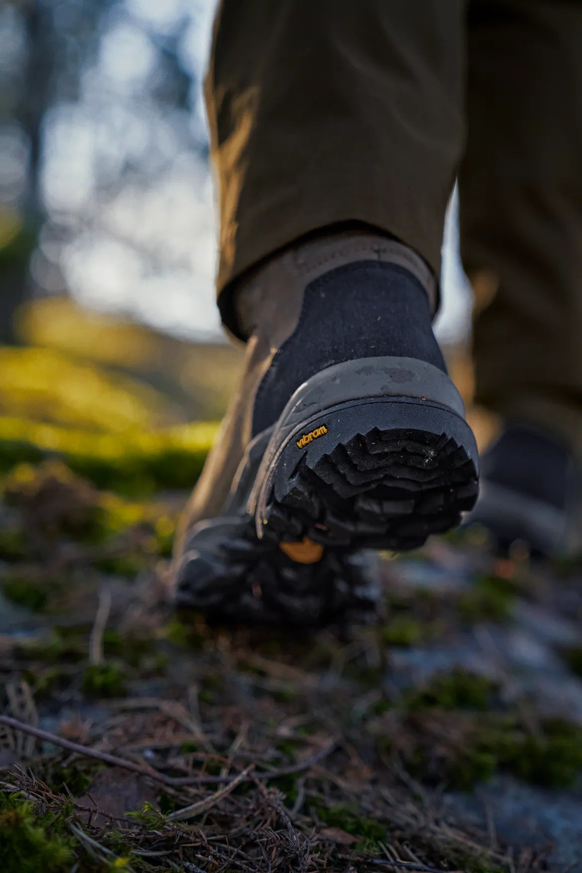 Botas Härkila Reidmar Mid 2.0 GTX