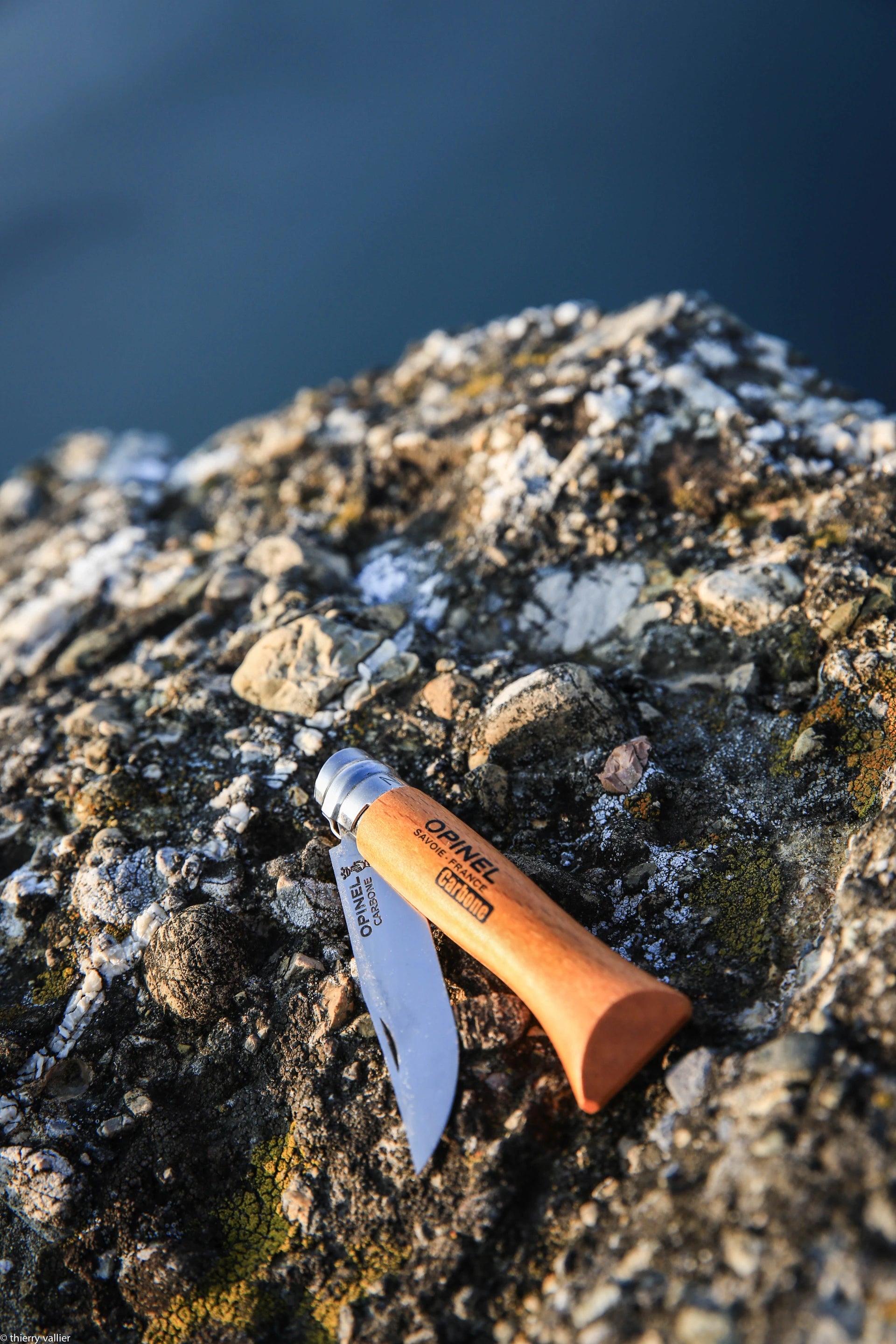Knife N° 06 Carbon