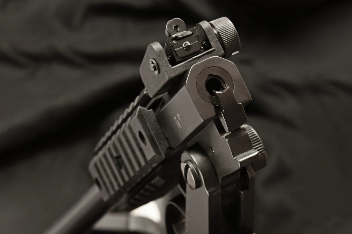 Rifle Monotiro Chiappa Little Badger