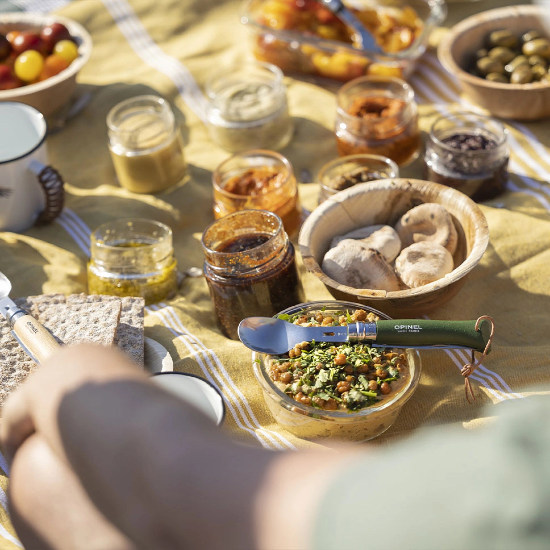 Accesorios Opinel Picnic +