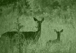 Binoculares de Visión Diurna Nocturna DN Serie