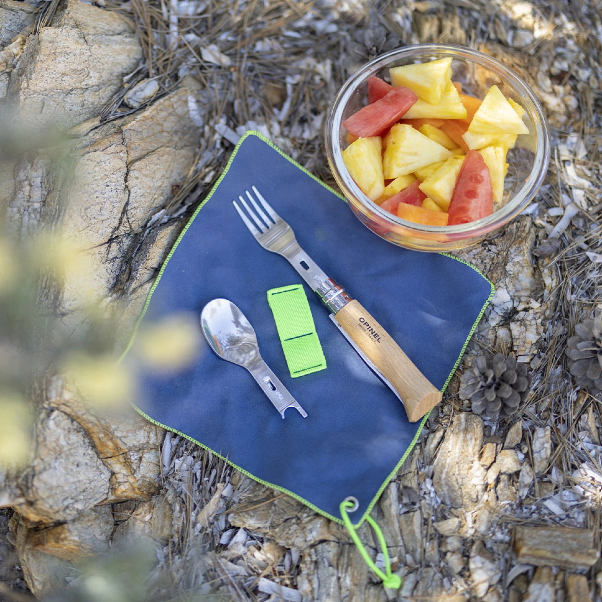 Conjunto Completo Opinel Picnic +