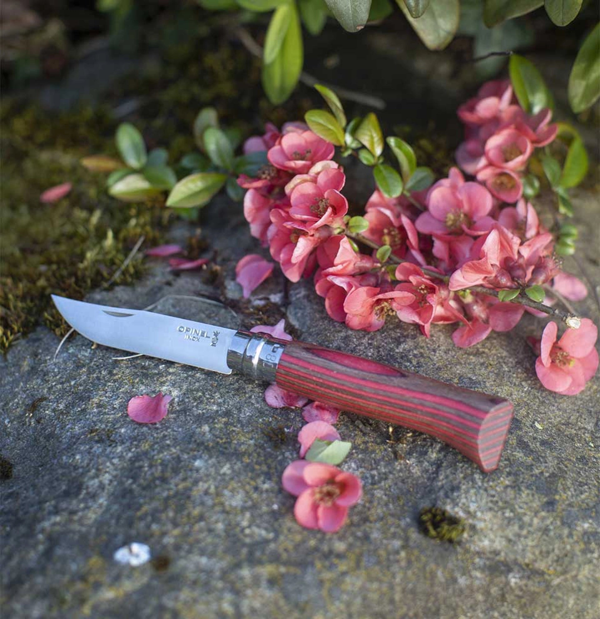 Navaja de Bolsillo Opinel N°08 Lujo Abedul Laminado