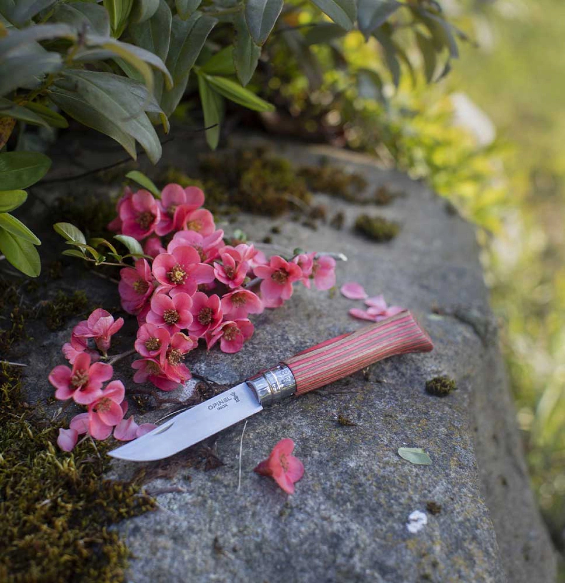 Navaja de Bolsillo Opinel N°08 Lujo Abedul Laminado