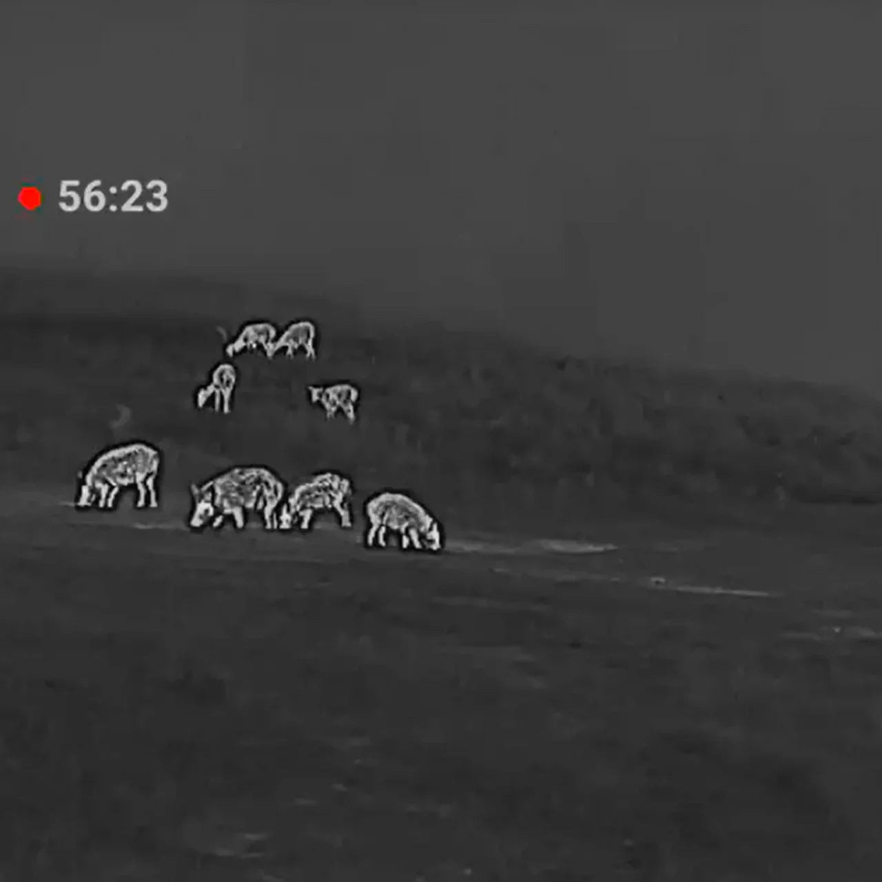 Clip-On Térmico Conotech Avata