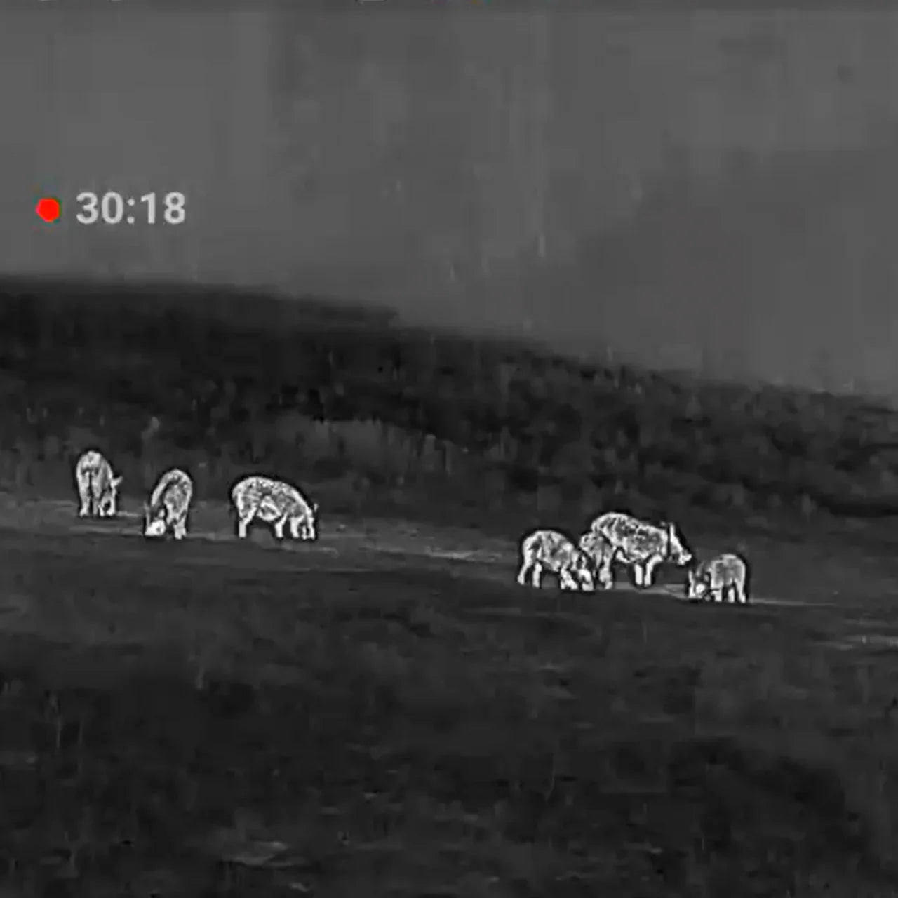 Clip-On Térmico Conotech Avata