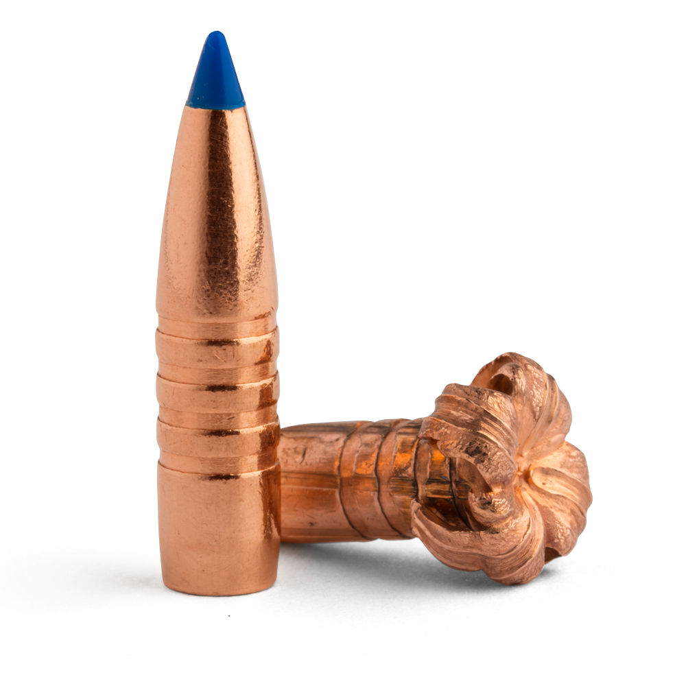 TSX® Tipped Bullet Tips