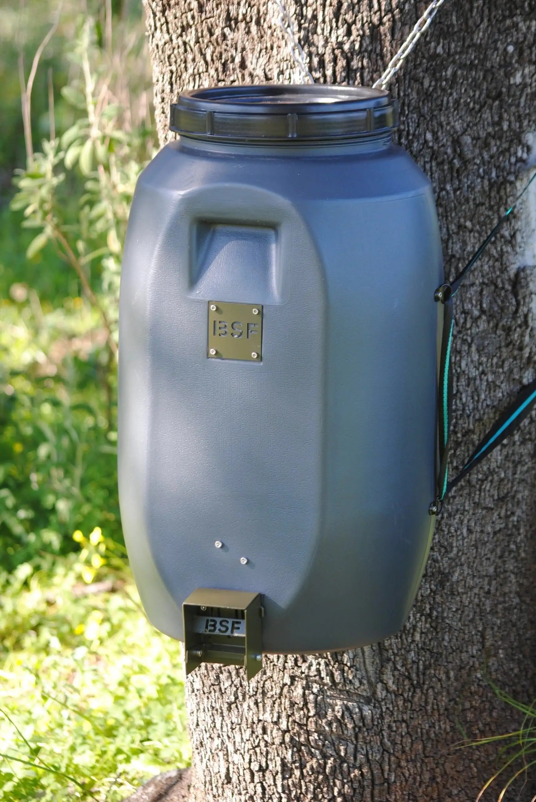 Dispensador Automático Trampilla BSF Yimi para Comedero