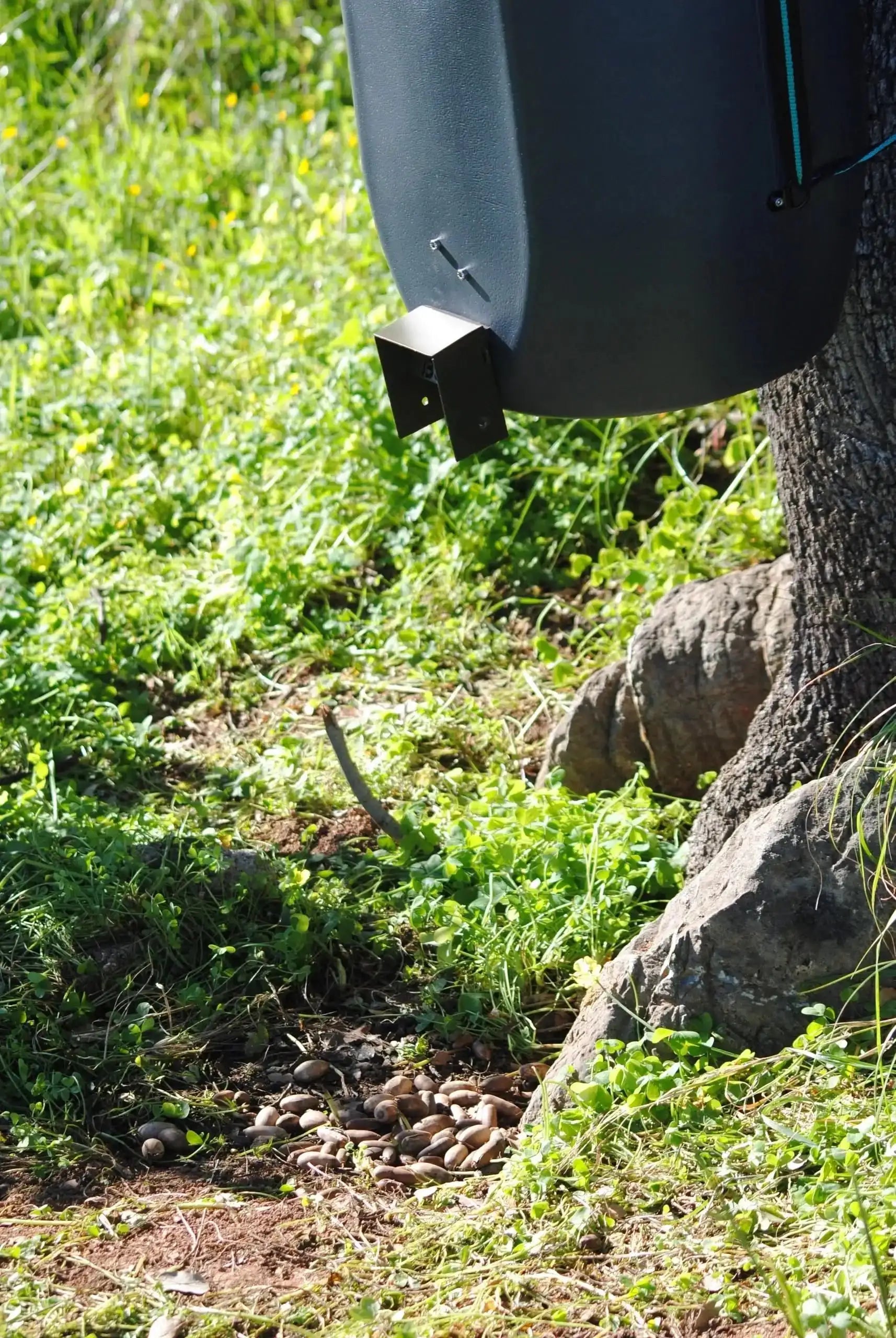 Bidón 60 Litros con Trampilla BSF Yimi para Almendras y Bellotas + Acelerador