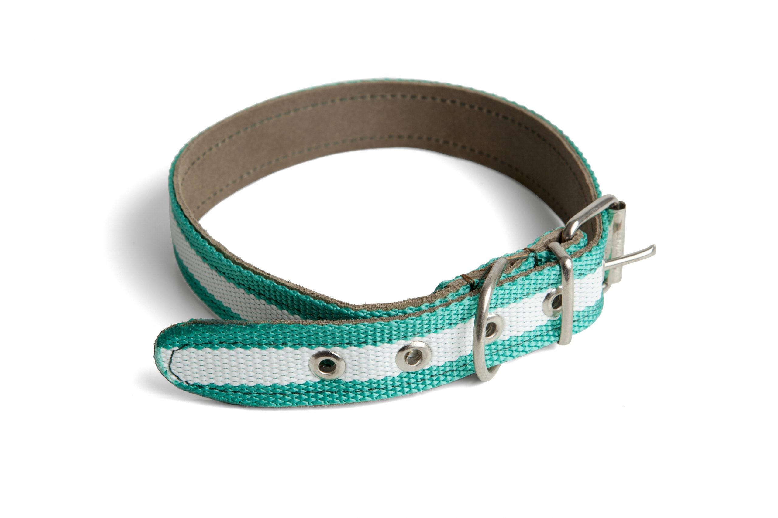 Collar Cinta para Perro Artesanía Ramírez Ruiz Reforzado de Cuero