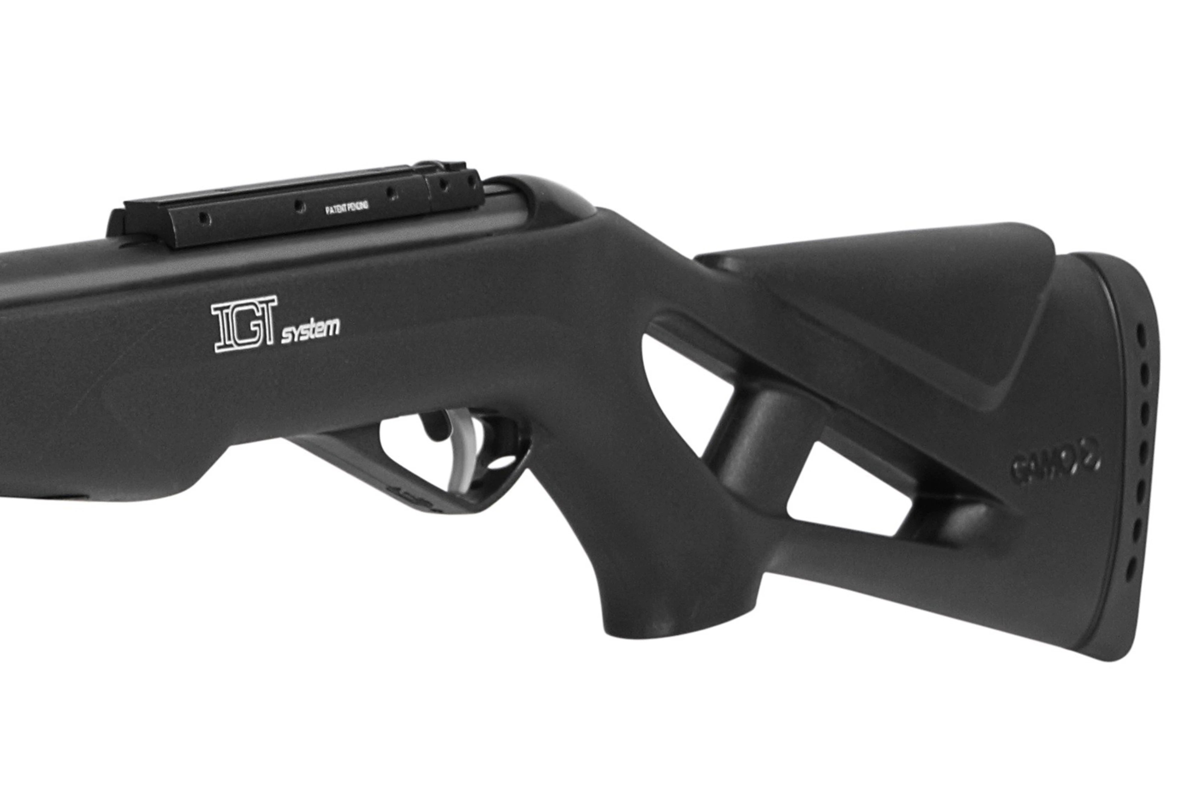 Carabina de Aire Comprimido Gamo WHISPER MAXXIM IGT