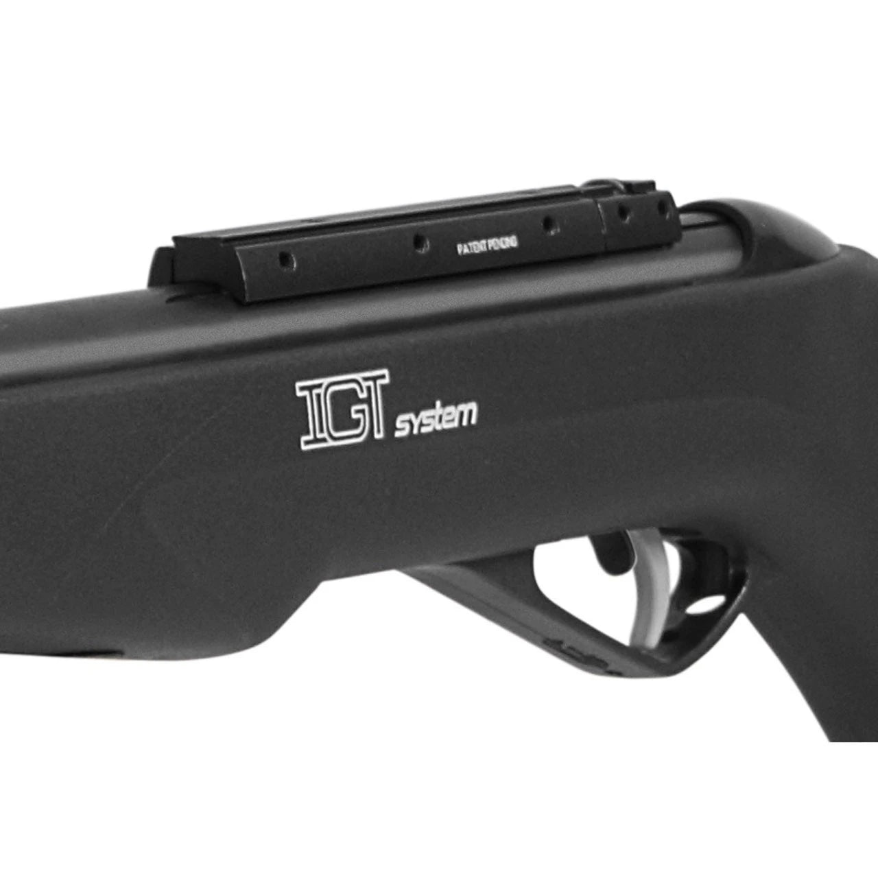 Carabina de Aire Comprimido Gamo WHISPER MAXXIM IGT
