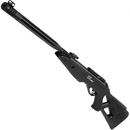 Carabina de Aire Comprimido Gamo WHISPER MAXXIM IGT