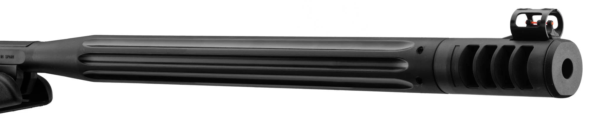 Carabina de Aire Comprimido Gamo WHISPER MAXXIM IGT