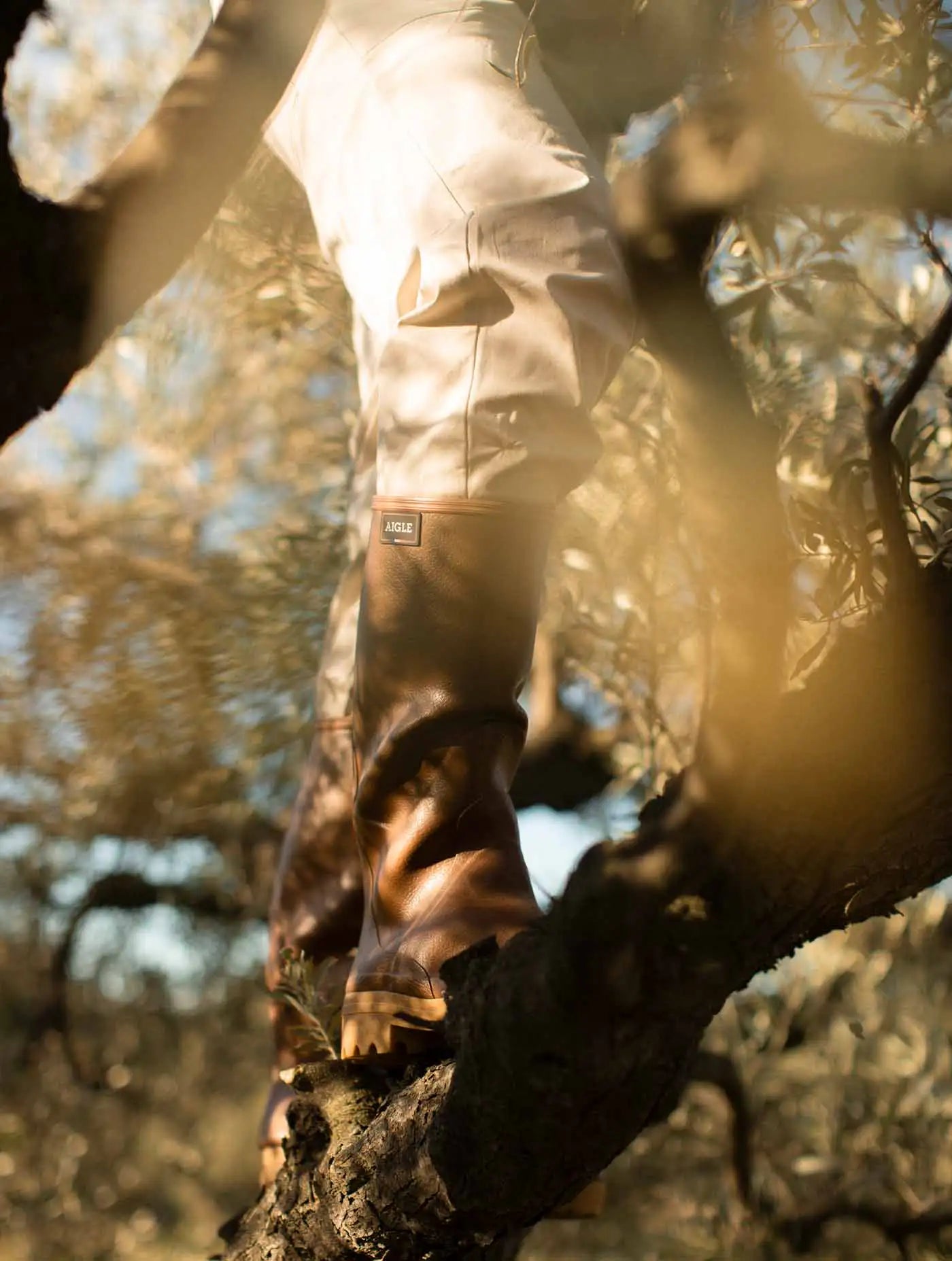 Botas de Agua Aigle Chambord Pro 2