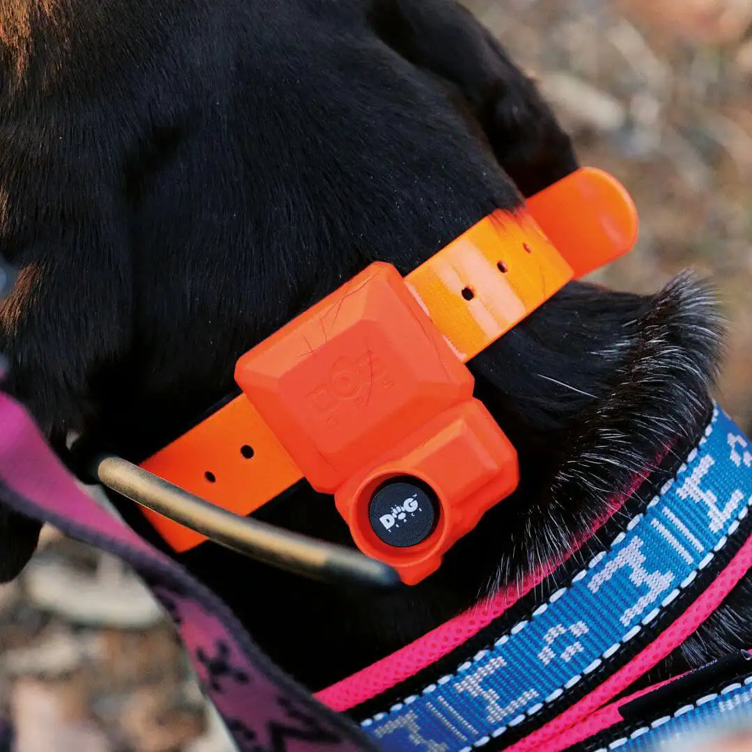 Collar Adicional DogTrace GPS X40