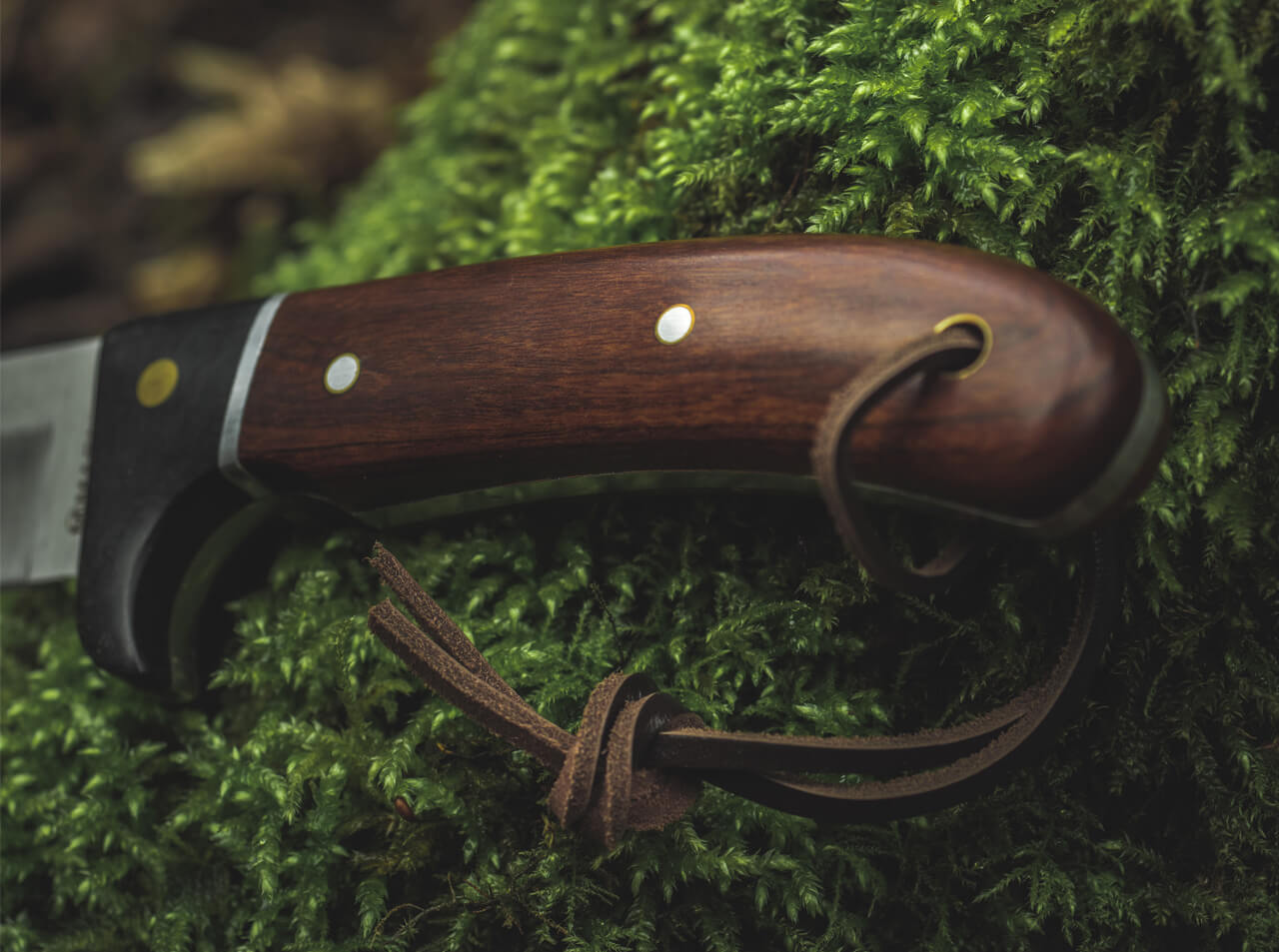 Cuchillo de Caza Böker Magnum Elk Hunter Special