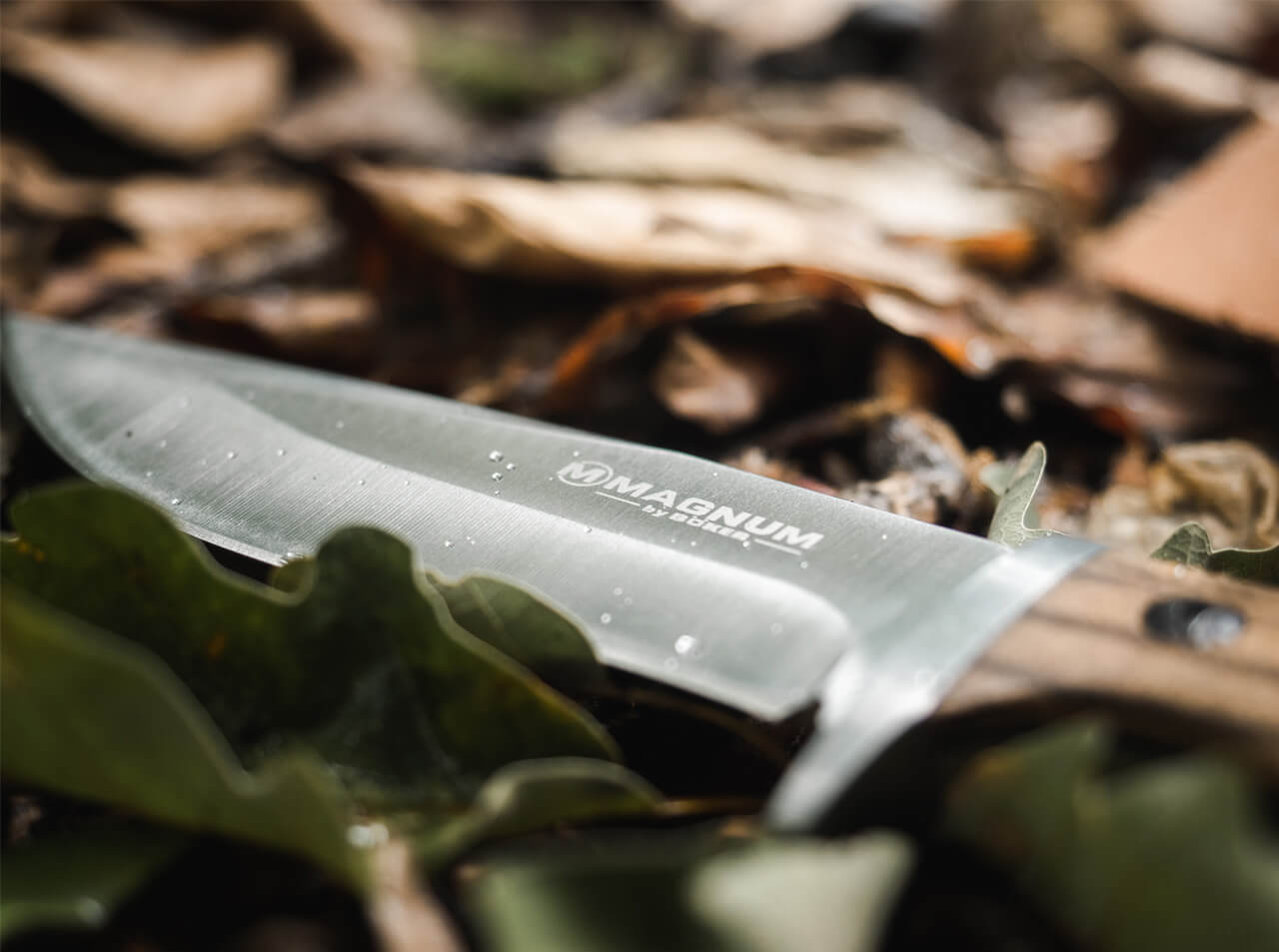 Cuchillo de Caza Böker Magnum Zebra Drop