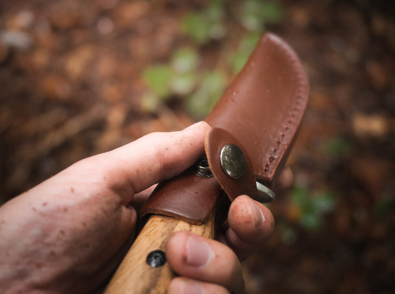 Cuchillo de Caza Böker Magnum Zebra Drop
