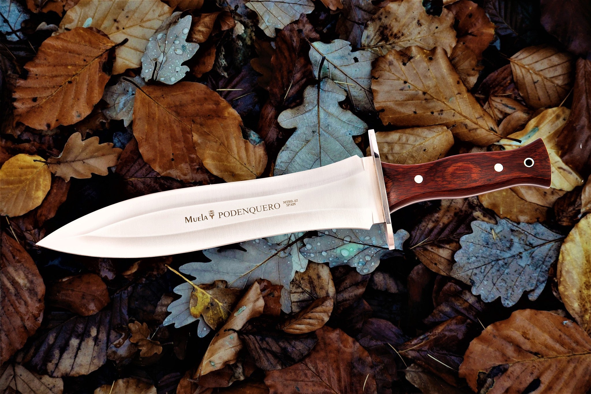 Cuchillo de Caza Muela Podenquero-26R