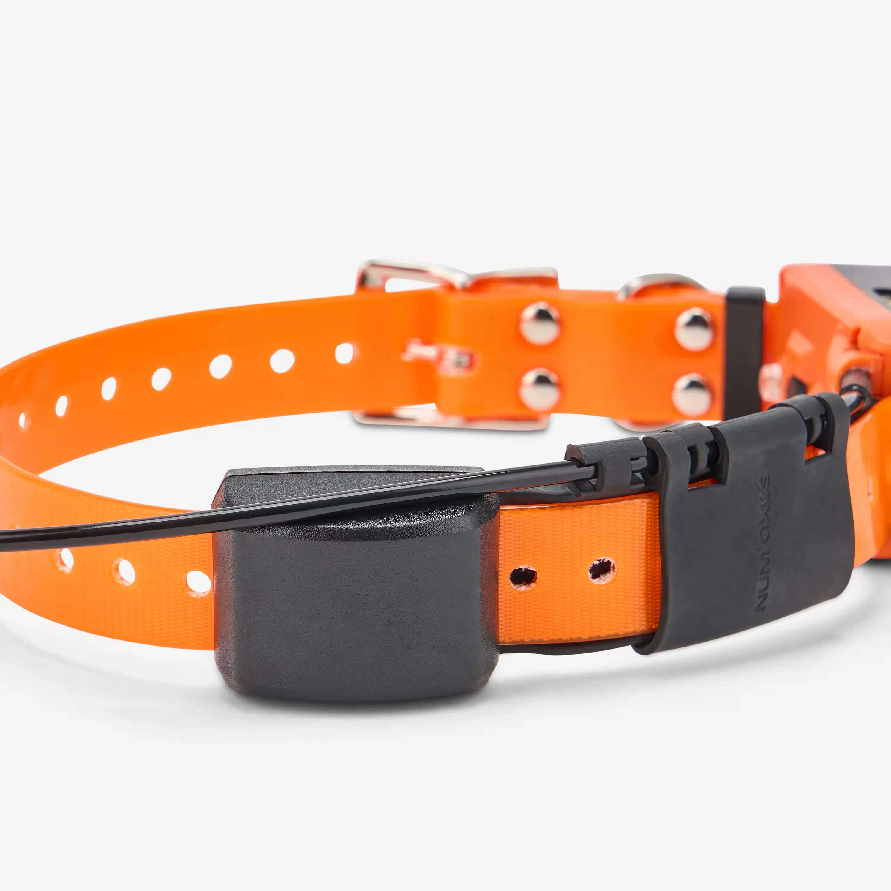 Collar Adicional Remoto Num'axes de Adiestramiento y Localización Canicom GPS 2