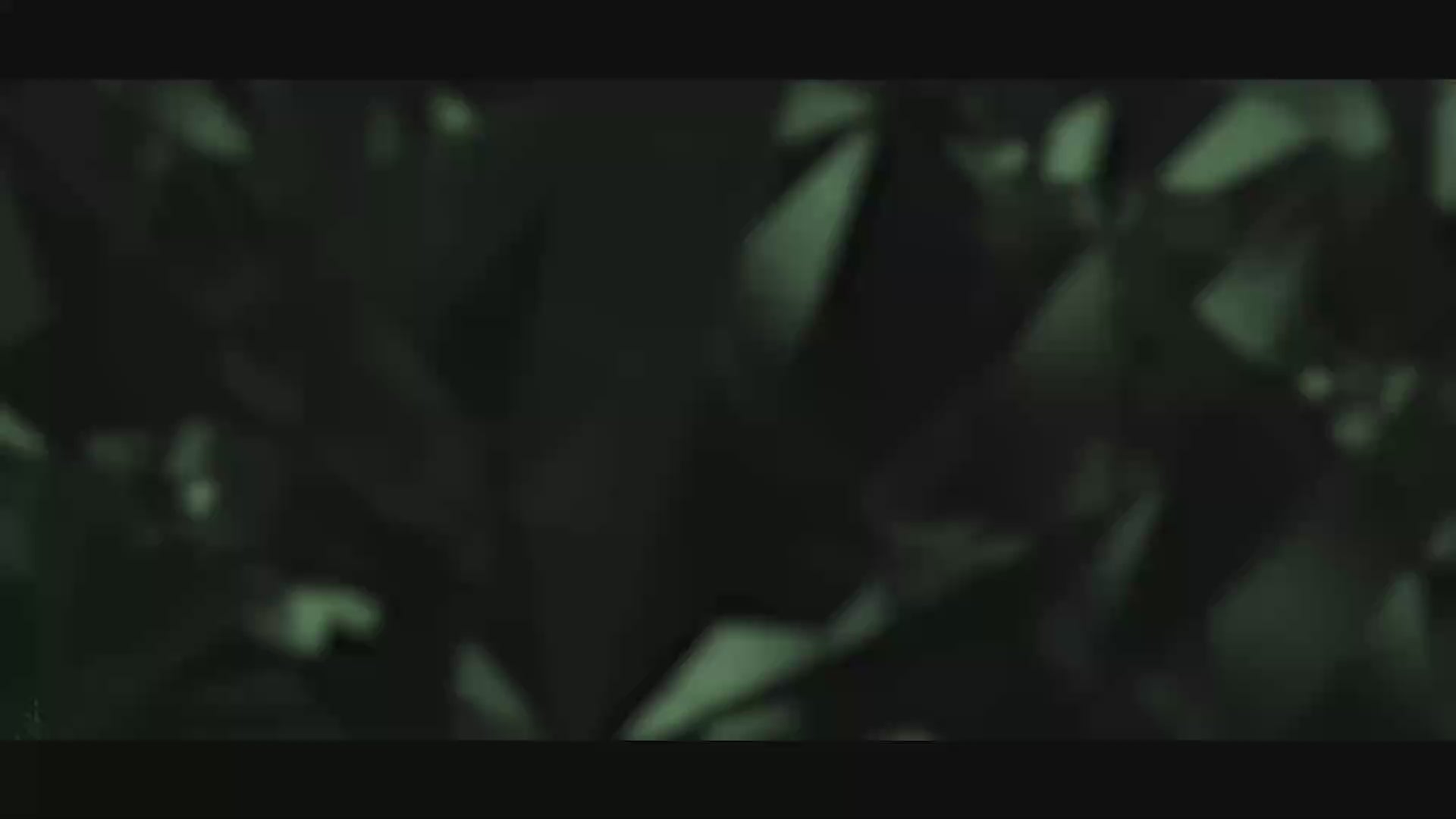 Pixfra Taurus Thermal Clip-On 