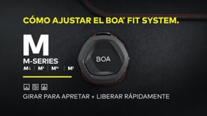 Botas de Caza Zamberlan Leopard FGL GTX® RR BOA WL