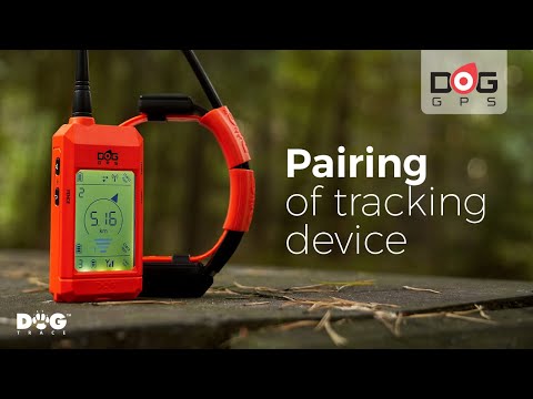 Mando Receptor DagTrace GPS X25 Suelto