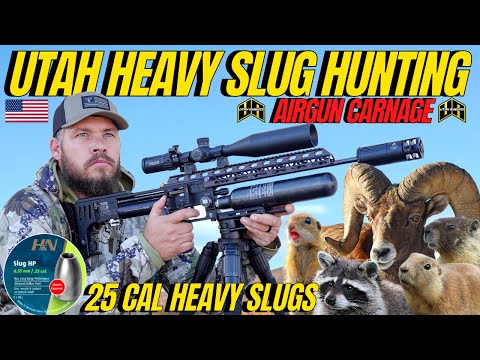 Balines H&N Heavy Slug