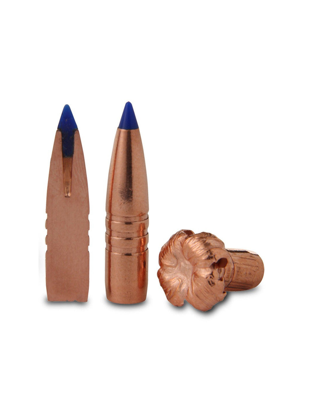 TSX® Tipped Bullet Tips