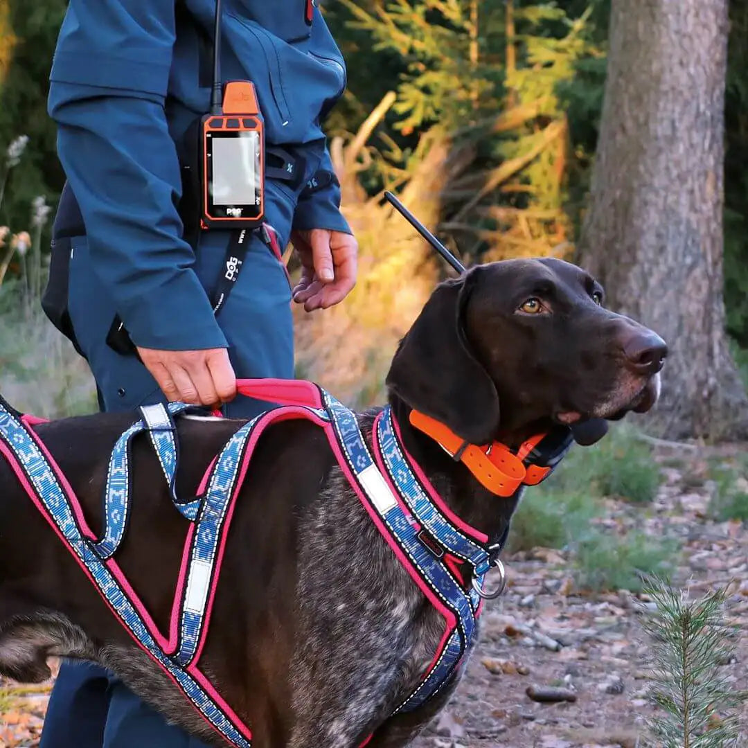 Collar Adicional DogTrace GPS X40