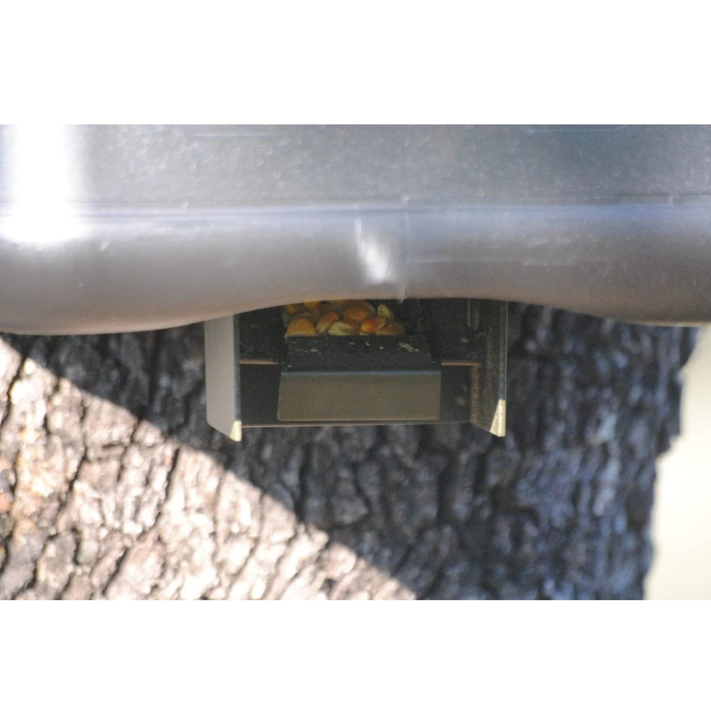 Dispensador Automático Trampilla BSF Yimi para Comedero