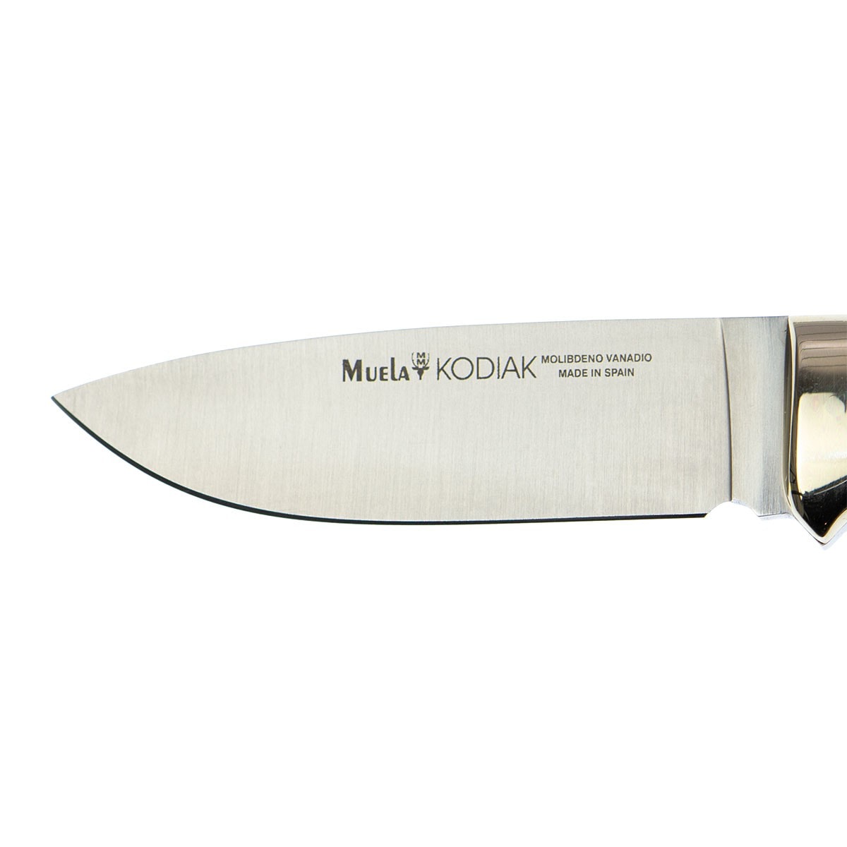 Cuchillo Kodiak-10CA Carnero