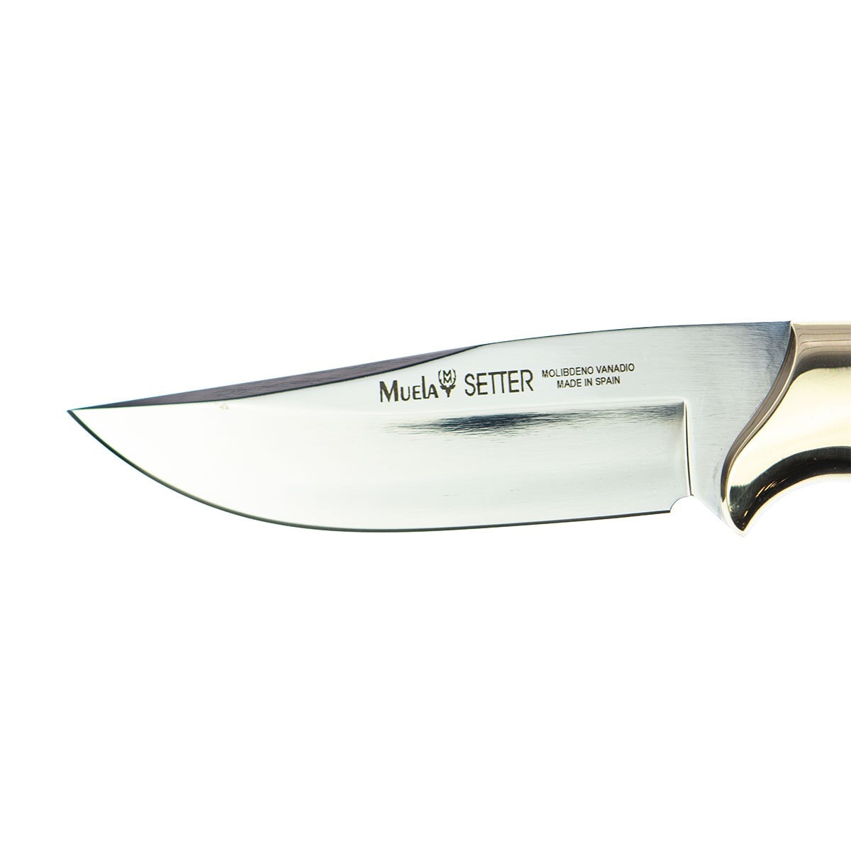 Cuchillo de Caza SETTER-11B