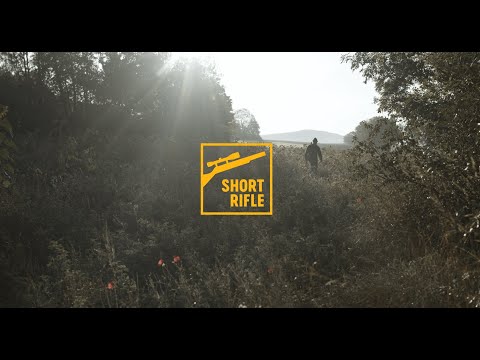 Bullets for Hunting Hit Short Rifle 