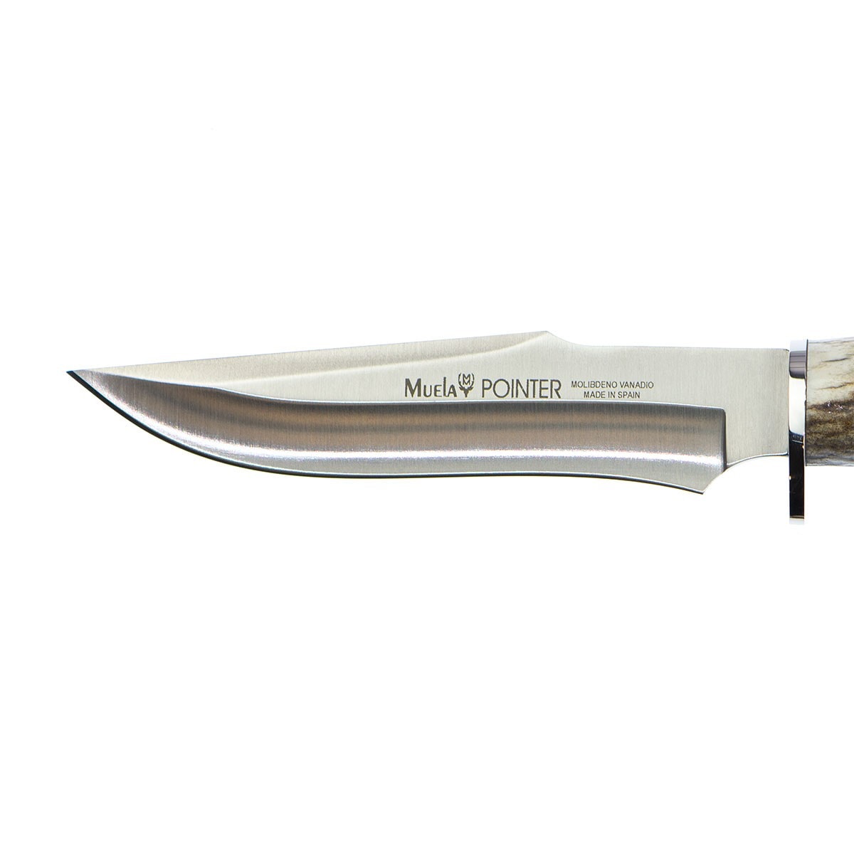 Pointer Hunting Knife