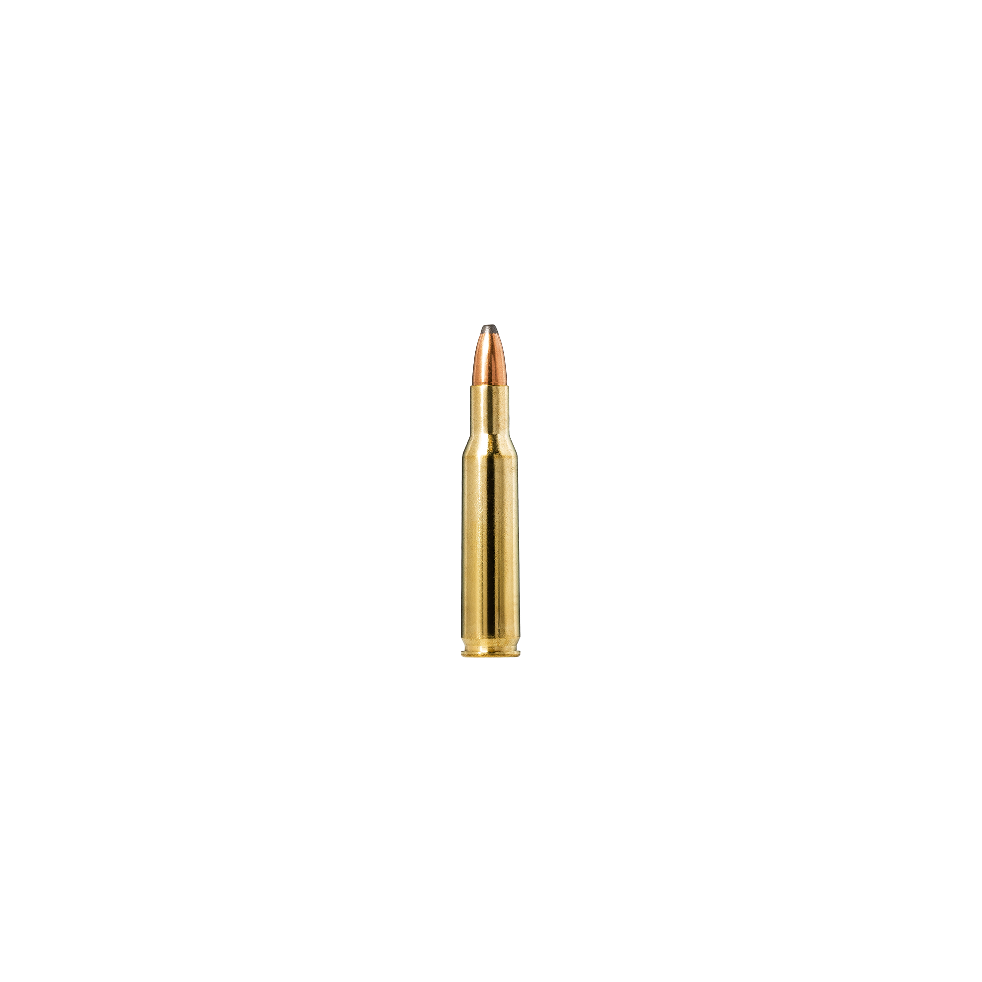 Soft Point Bullets