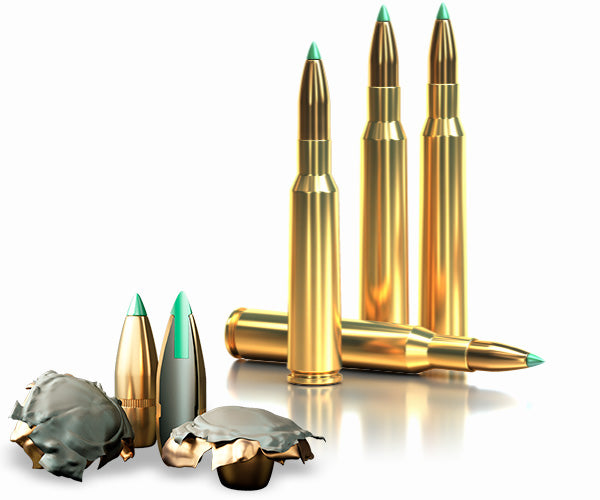 PTS Rifle Bullets