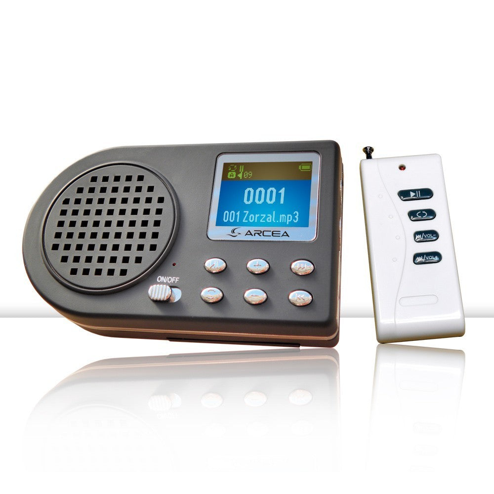Singing MP3 Player with Remote