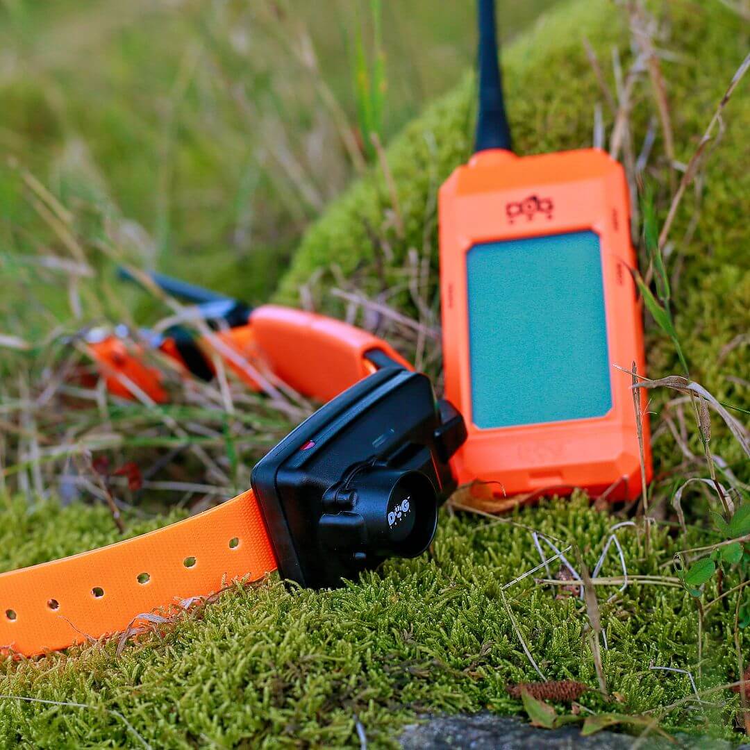 Collar Localizador GPS DogTrace X20 PLUS - PetPalet