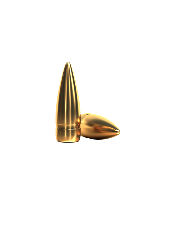FMJ Rifle Bullets 